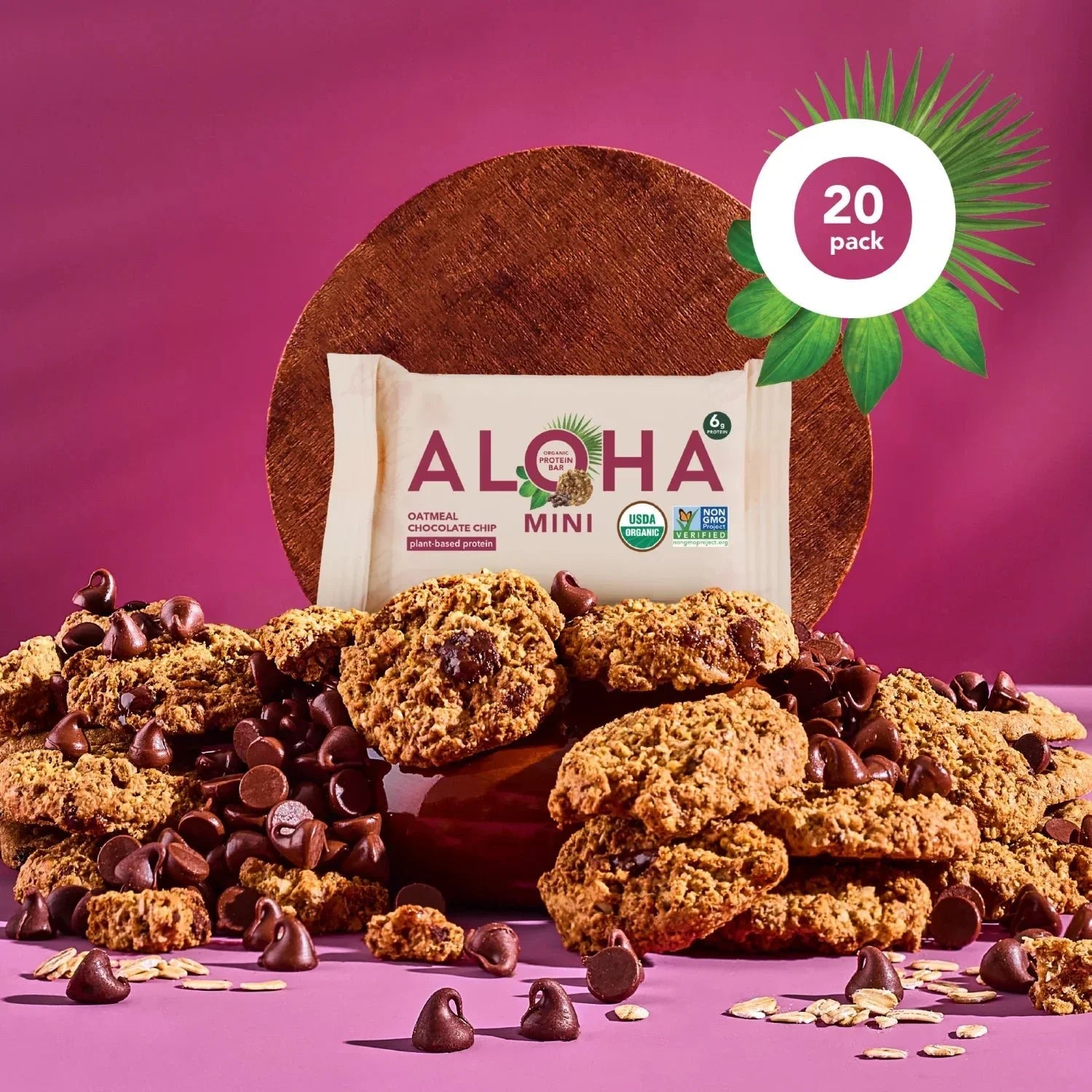 Oatmeal Chocolate Chip - Mini Bars - Protein-Packed and Ready to Go