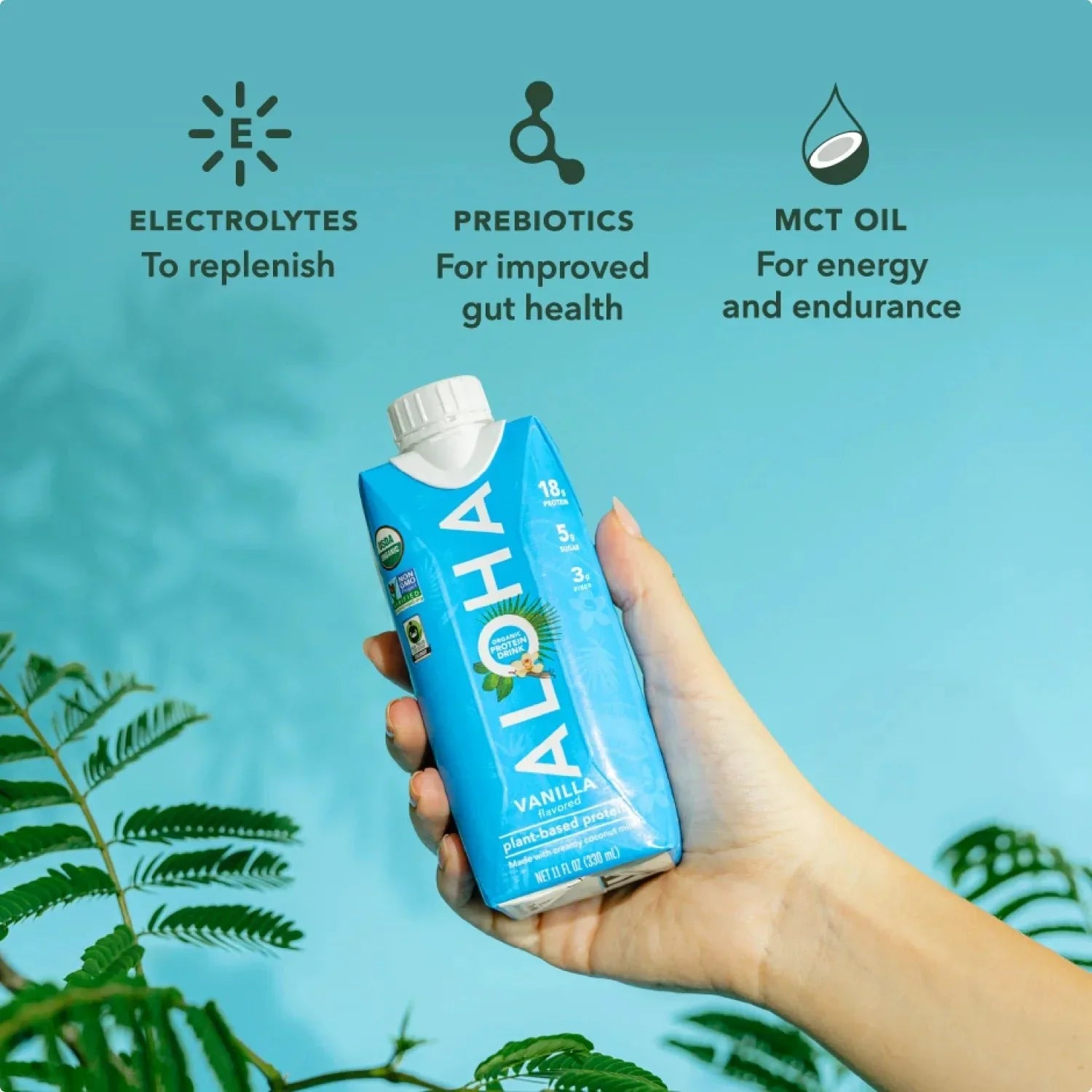 Vanilla - Protein Drinks - Protein-Packed and Ready to Go