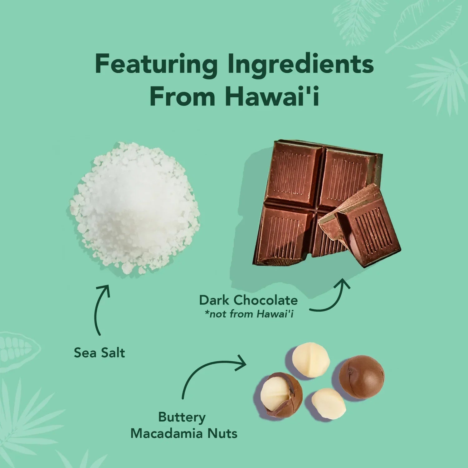 The Pa'akai Bar - Protein Bars - Feel-Good Fuel for Any Routine