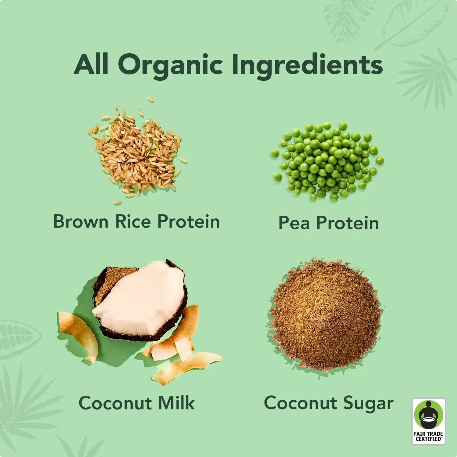 Coconut Protein Drinks - 4-Pack - Clean Energy, Deliciously Made