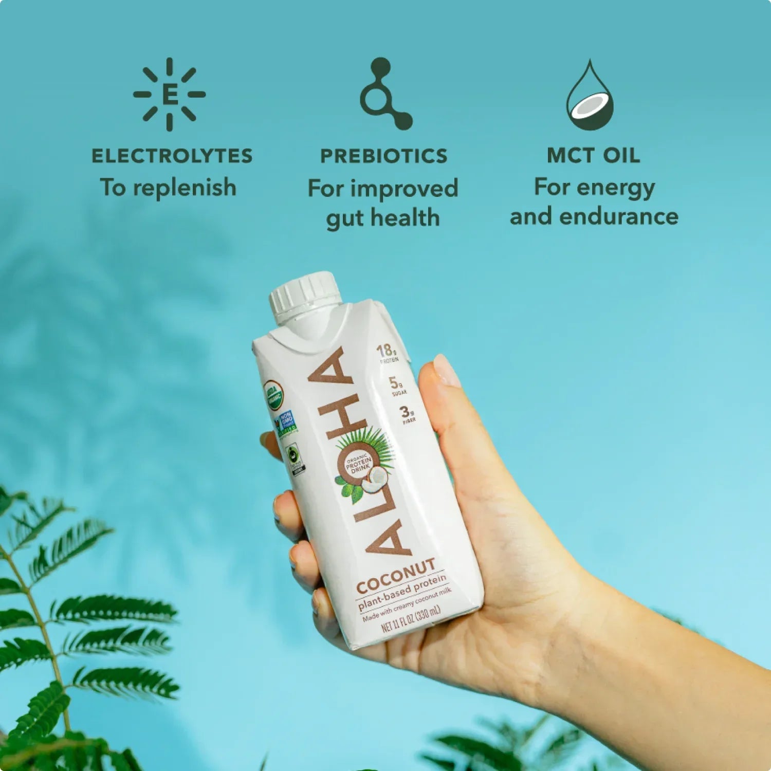 Coconut Protein Drinks - 4-Pack - Clean Energy, Deliciously Made