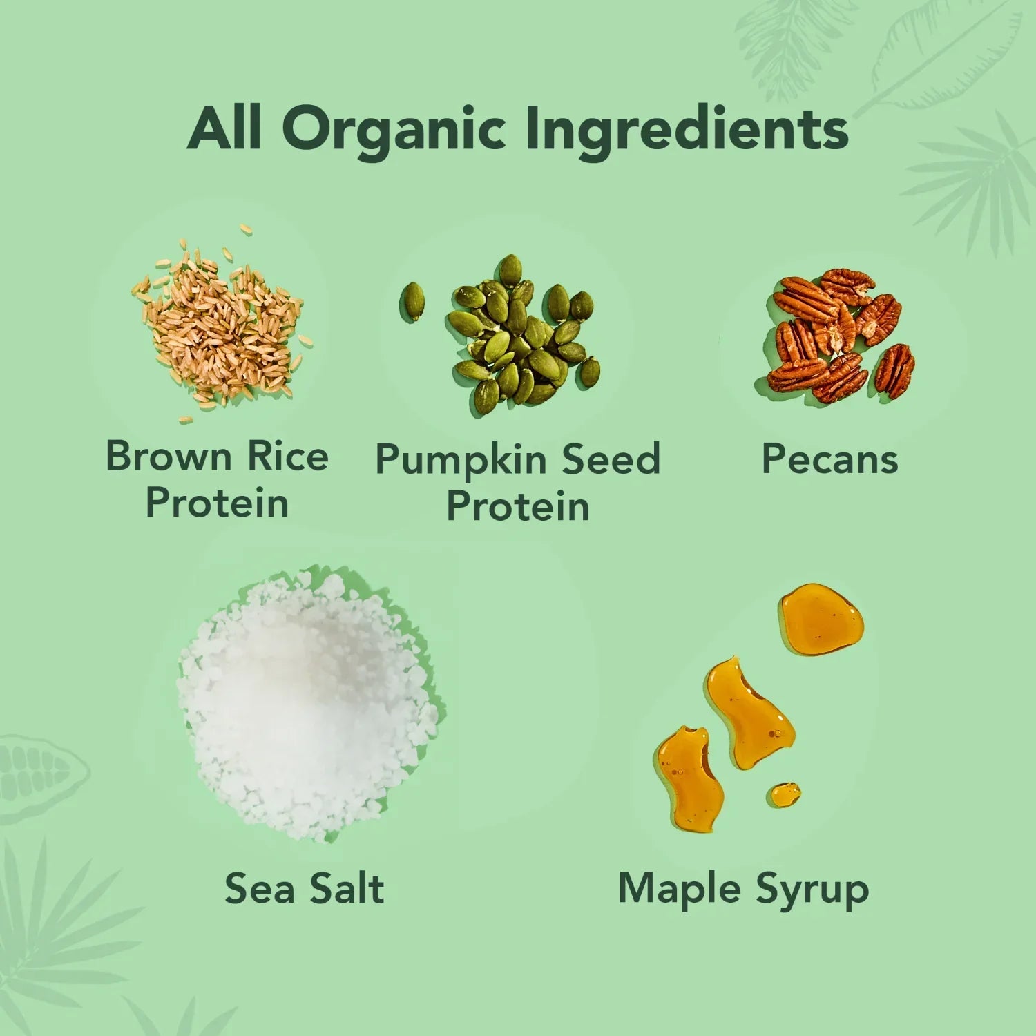 Maple Sea Salt - Protein Bars - Protein-Packed and Ready to Go