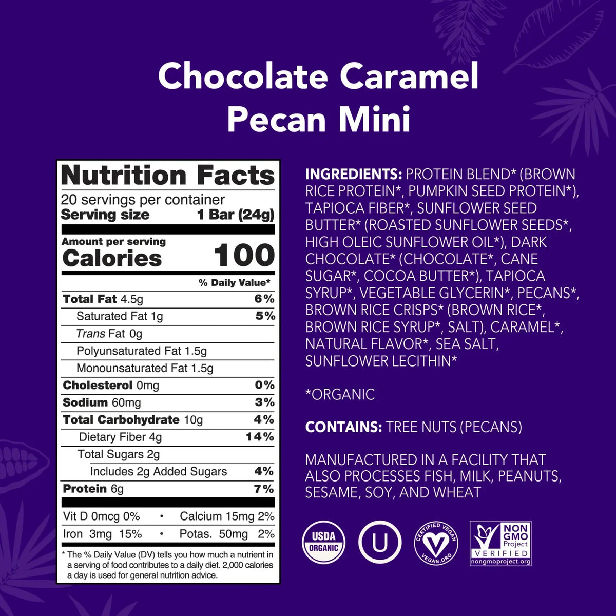 Chocolate Caramel Pecan - Mini Bars - Plant-Based Fuel for Busy Days H1