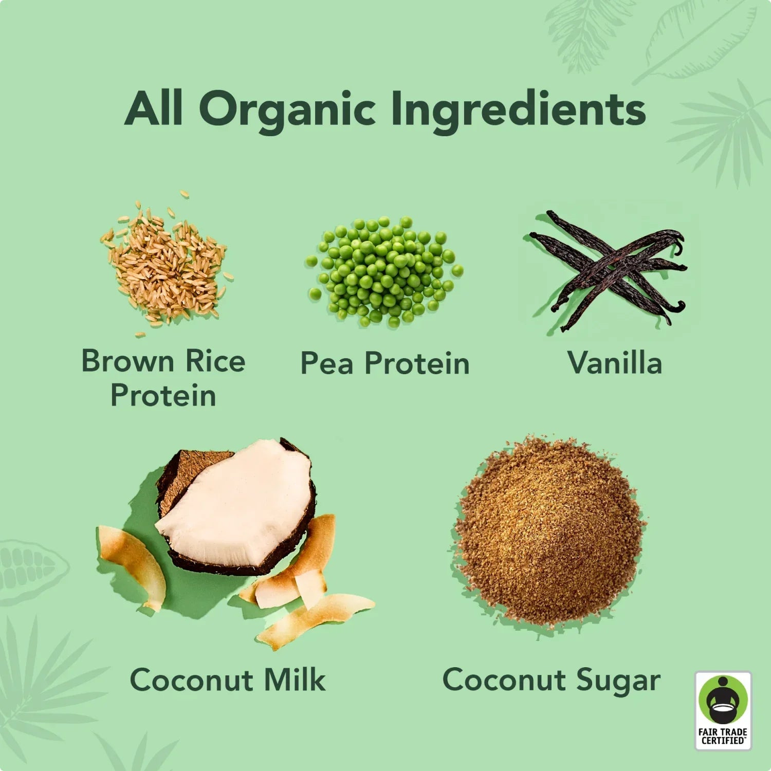 Vanilla - Protein Drinks - Protein-Packed and Ready to Go